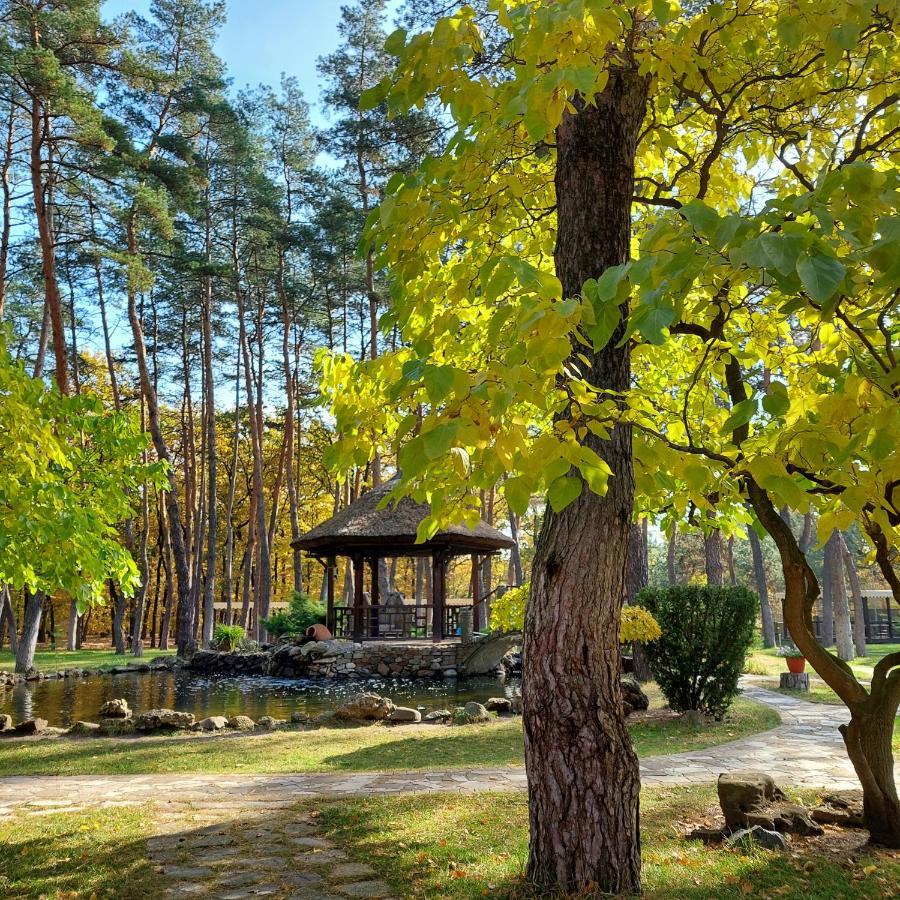 Kohavi Forest Club Orlovshchina Extérieur photo